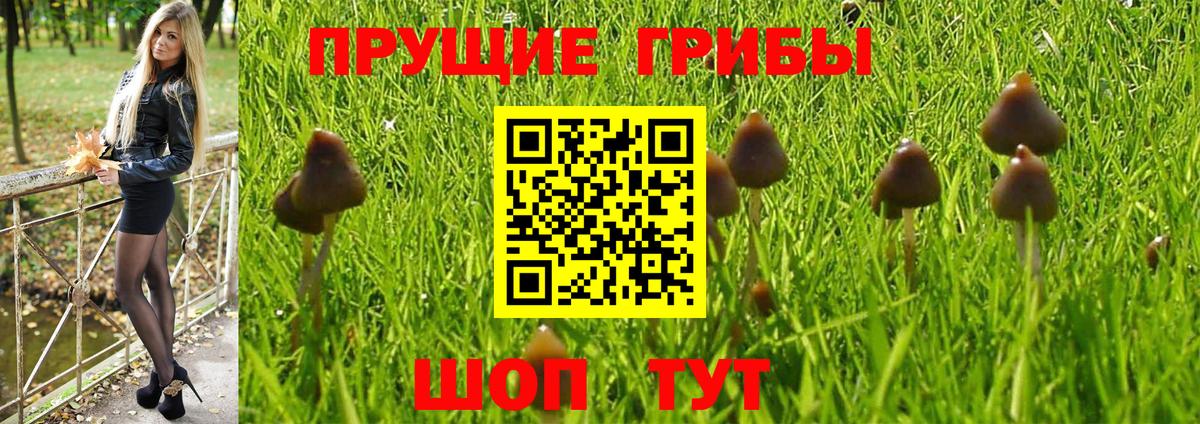 Галлюциногенные грибы GOLDEN TEACHER  Вход с VPN  Галлюциногенные грибы GOLDEN TEACHER  Рассказово 